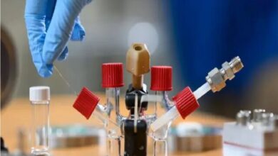هواپیماهای الکتریکی می توانند دی اکسید کربن را از آسمان حذف کنند