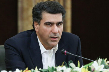 علیرضا معزی: ایرانیان خارج در شکل‌گیری یک تصویر واقعی از ایران بسیار نقش داشتند/ تأکید مقام معظم رهبری بر احیای سرمایه اجتماعی در برابر روندهای حذفی