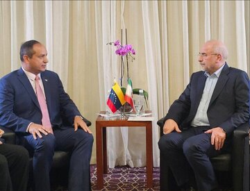 قالیباف در دیدار یک مقام ونزوئلایی: حق نداریم زمان را از دست بدهیم؛ دشمن مشترک ما بسیار بی رحم است/ دشمن همیشه در کمین ما است