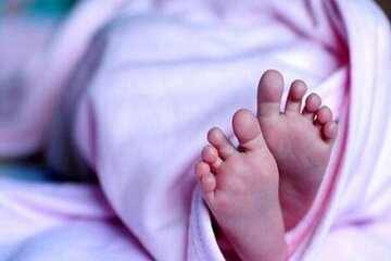چند نوزاد در جنگ ۱۲ روزه متولد شدند؟
